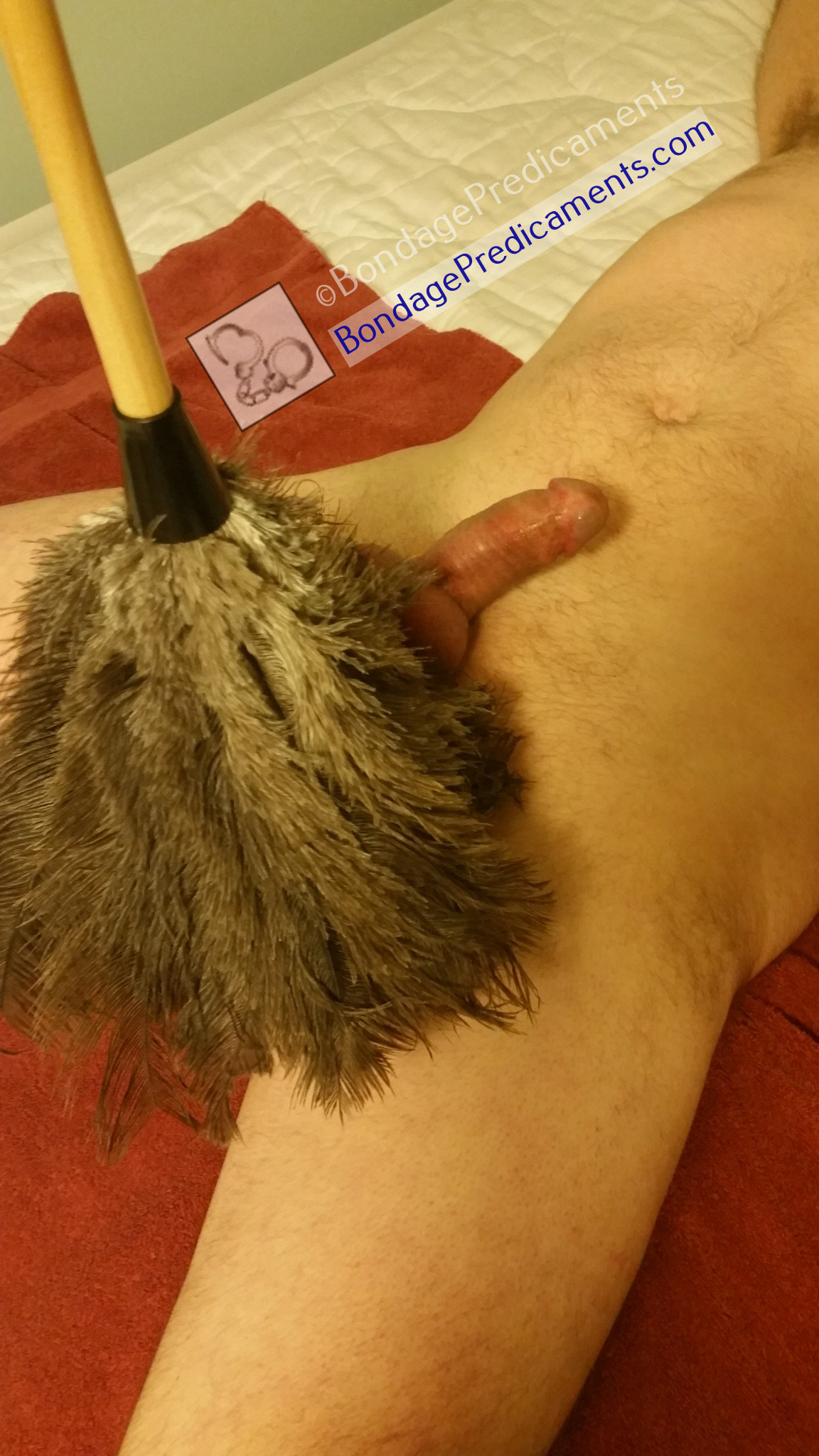 Feather Duster Edging